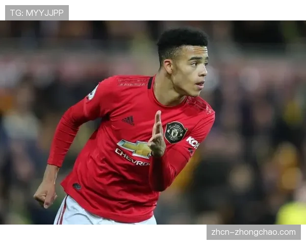 格林伍德状态波动技术原因：双足均衡性反成决策负担